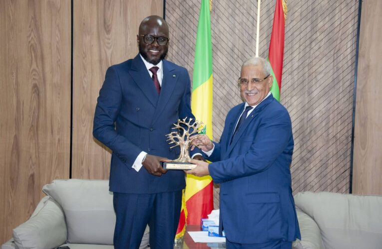 ولد مكت: علاقات موريتانيا والسنغال تشهد ديناميكية تصاعدية ملحوظة