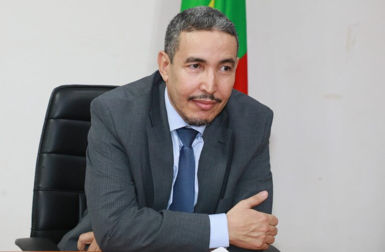 مدير ديوان الوزير الأول حين تستند الكفاءة على الوطنية